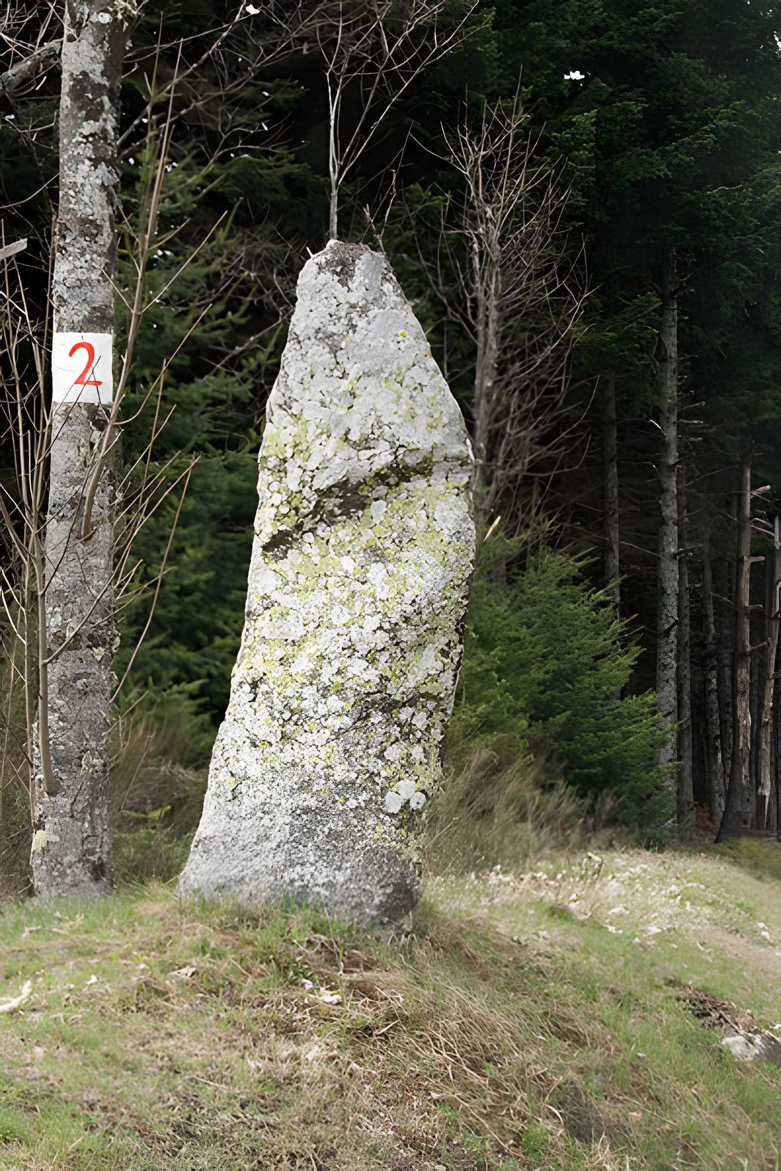 Statue-menhir de Lichessol à Saint-Agrève 