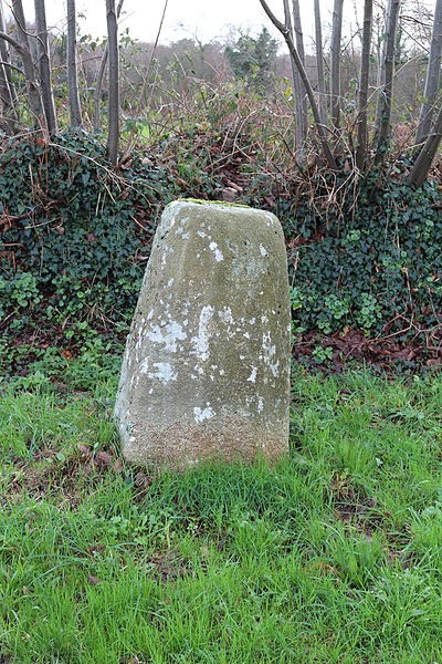 Photo de Stèle protohistorique de Riec-sur-Bélon
