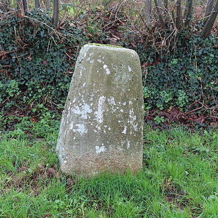 Photo de Stèle protohistorique de Riec-sur-Bélon