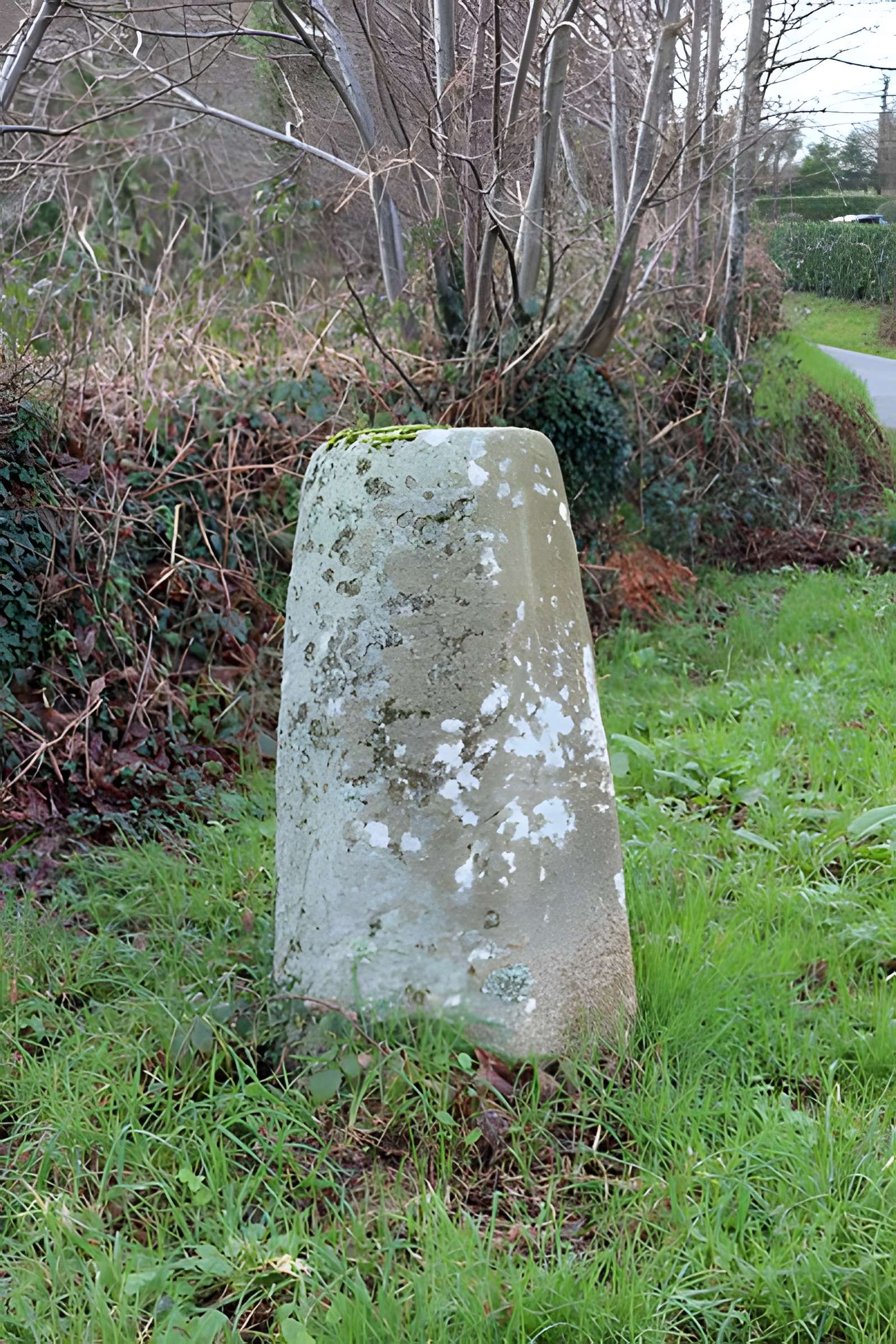 Stèle protohistorique de Riec-sur-Bélon