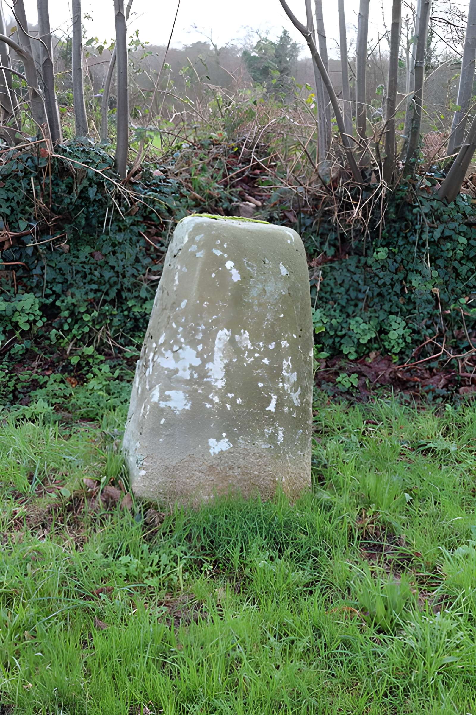 Stèle protohistorique de Riec-sur-Bélon