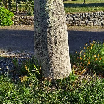 Stèle protohistorique de Treffiagat