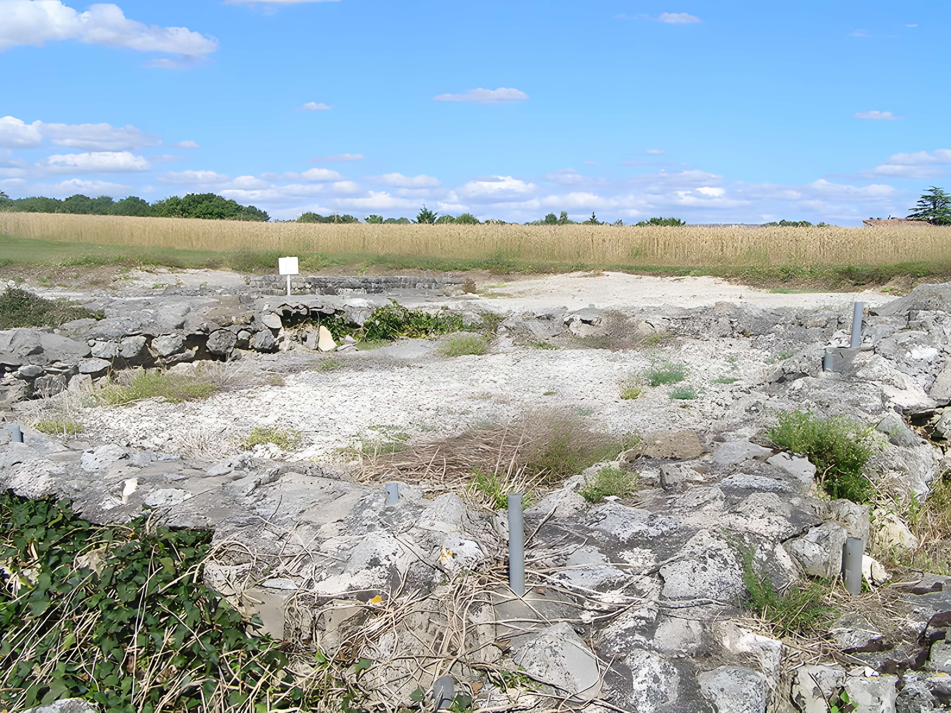 Substructions gallo-romaines d'Embourie à Paizay-Naudouin-Embourie