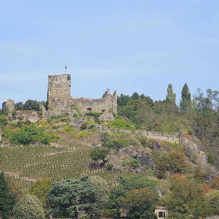 Photo de Château de la Bâtie à Vienne