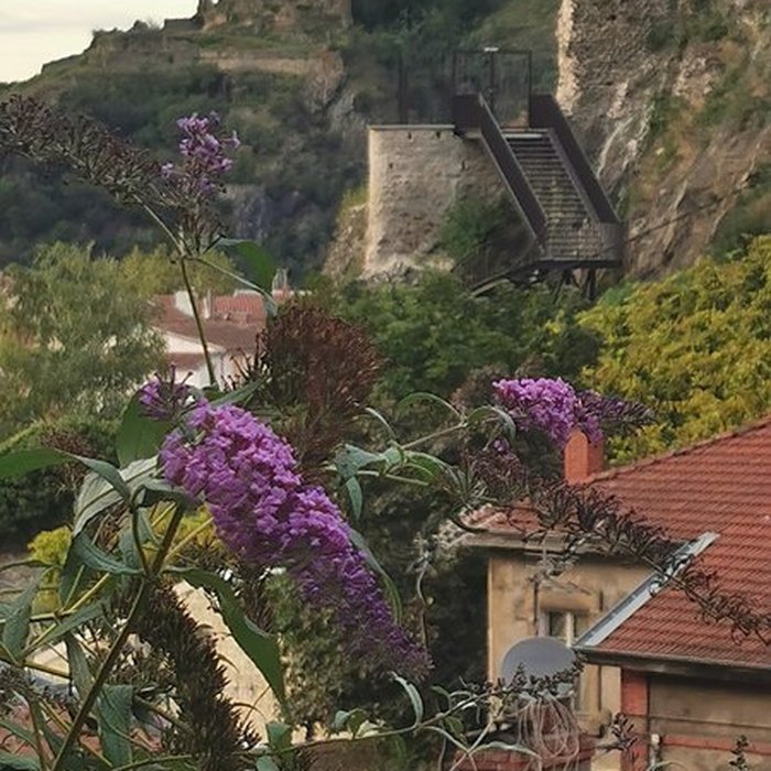 Photo de Château de la Bâtie à Vienne