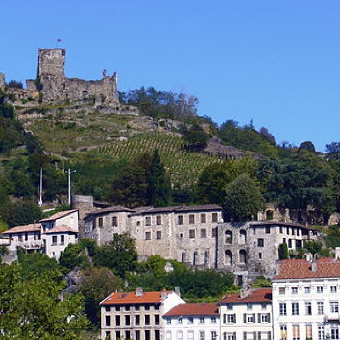 Photo de Château de la Bâtie à Vienne
