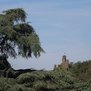 Château de la Bâtie à Vienne