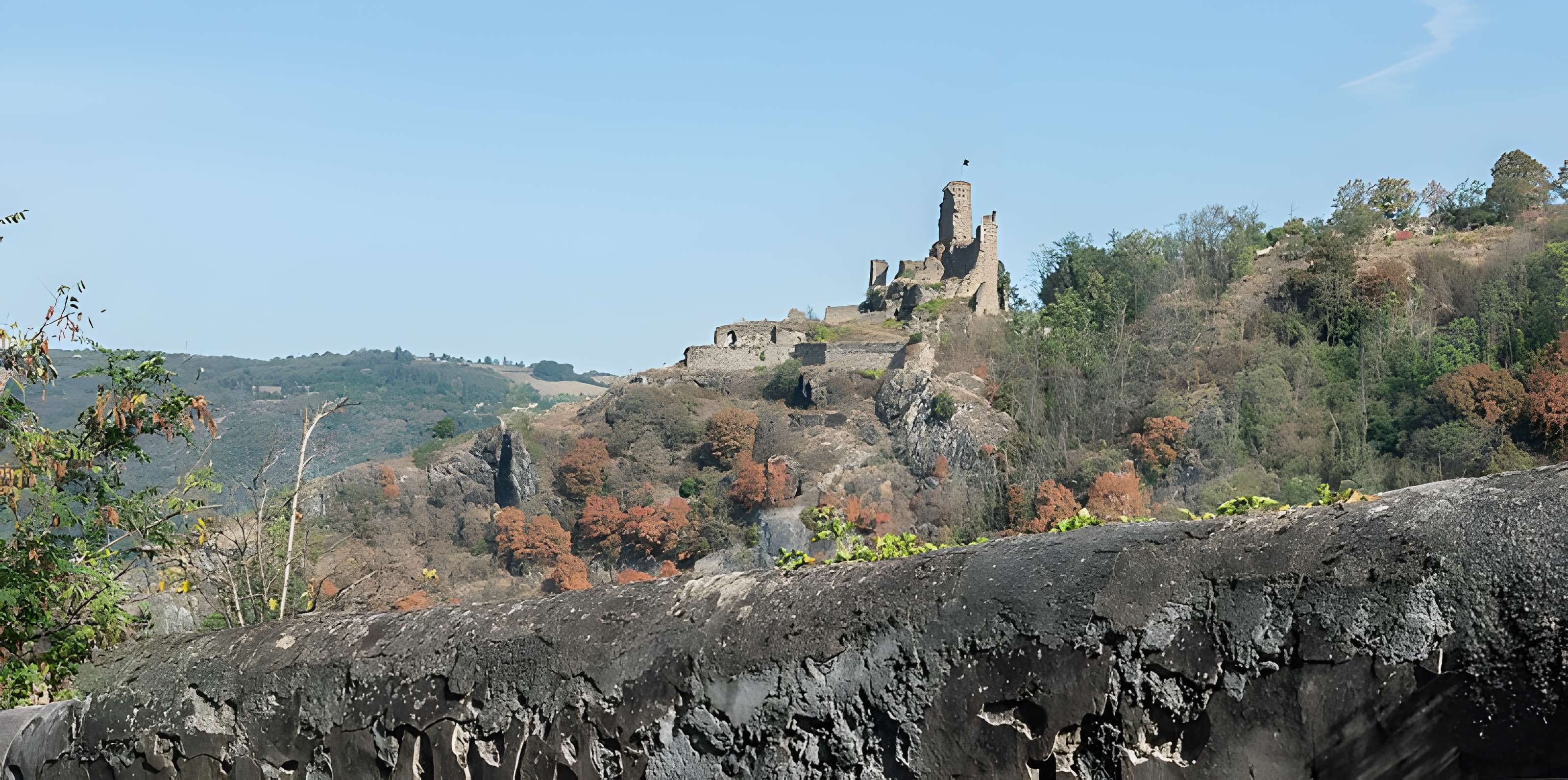 Château de la Bâtie à Vienne