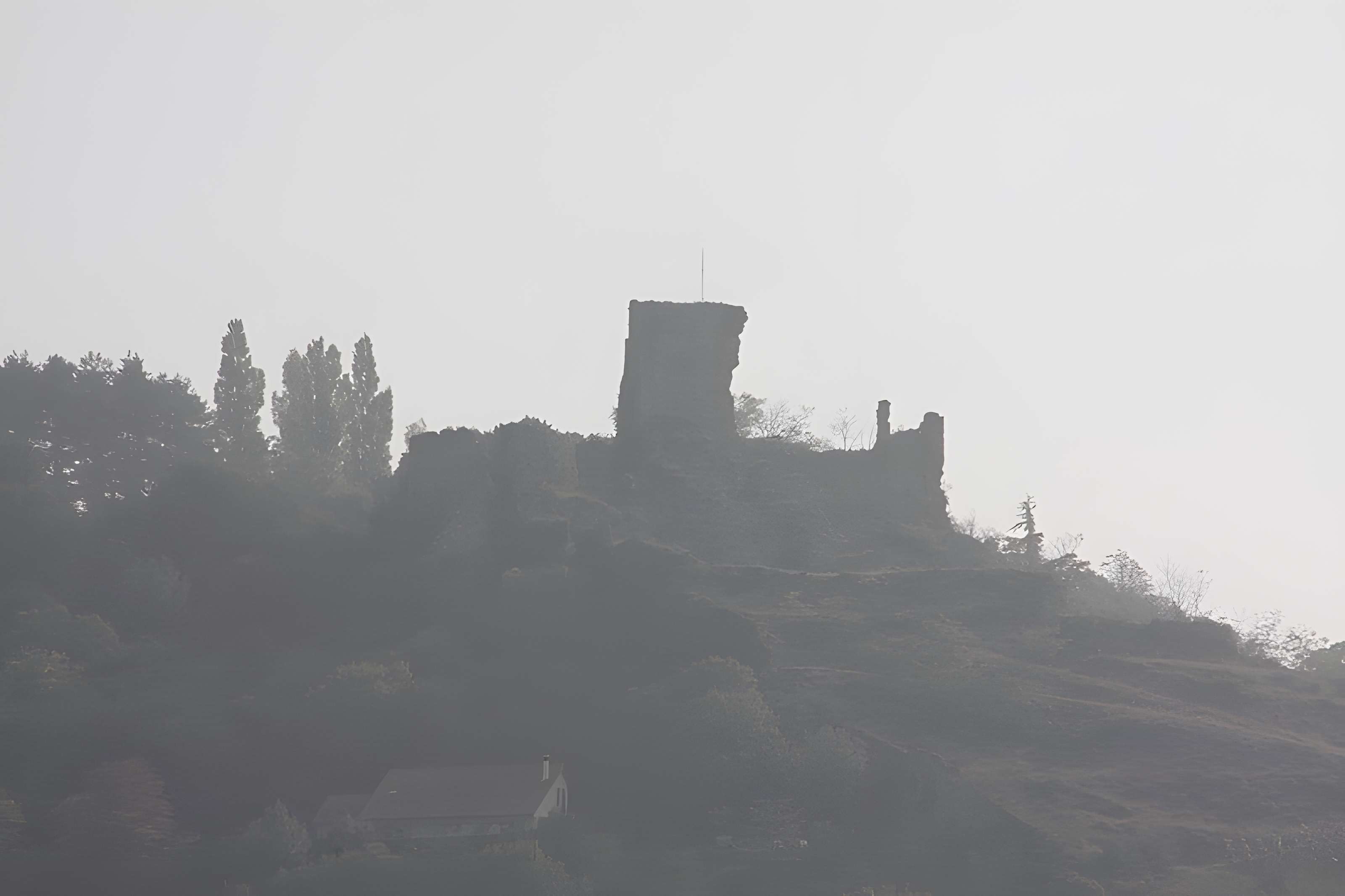 Château de la Bâtie à Vienne