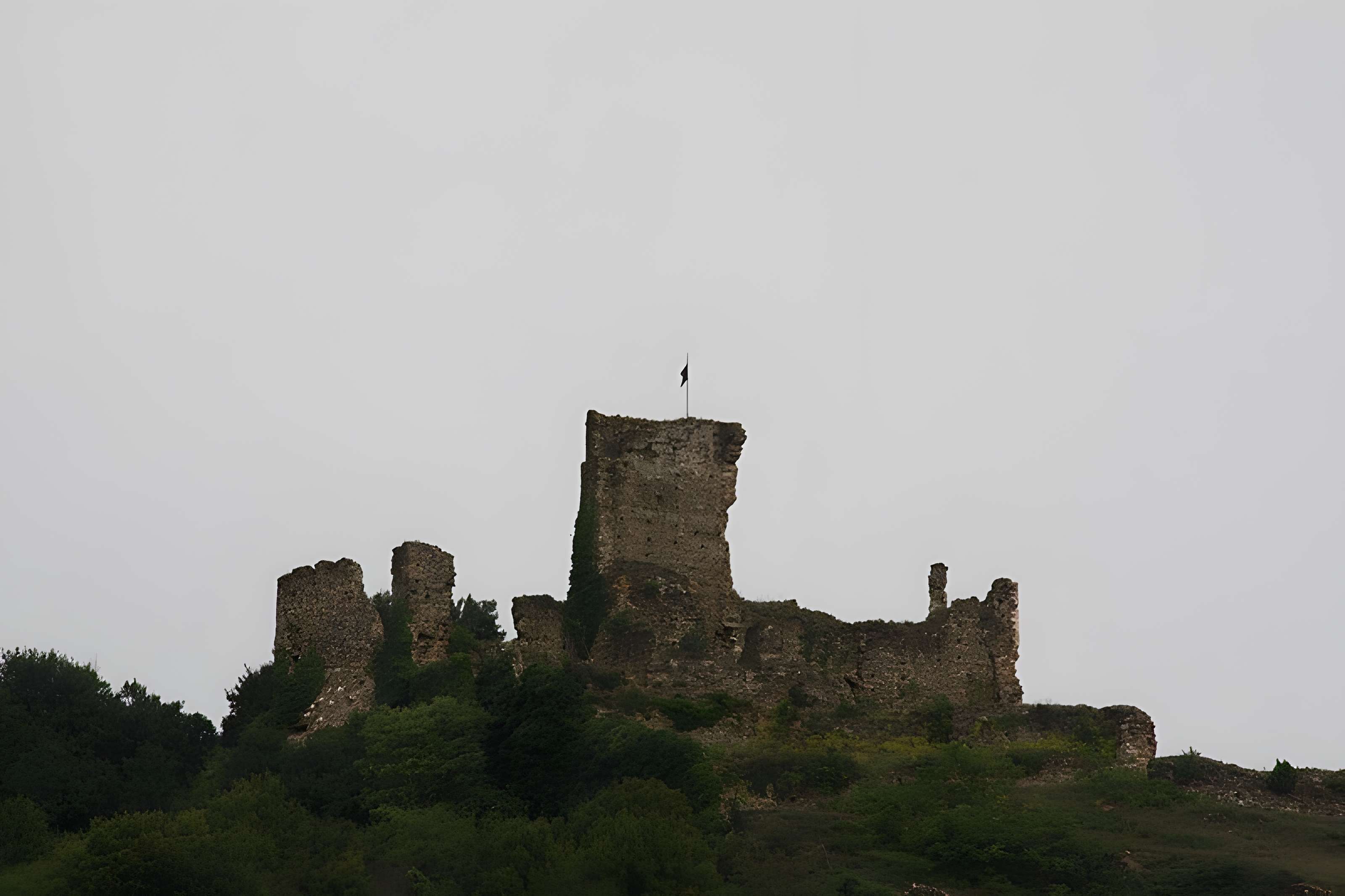 Château de la Bâtie à Vienne