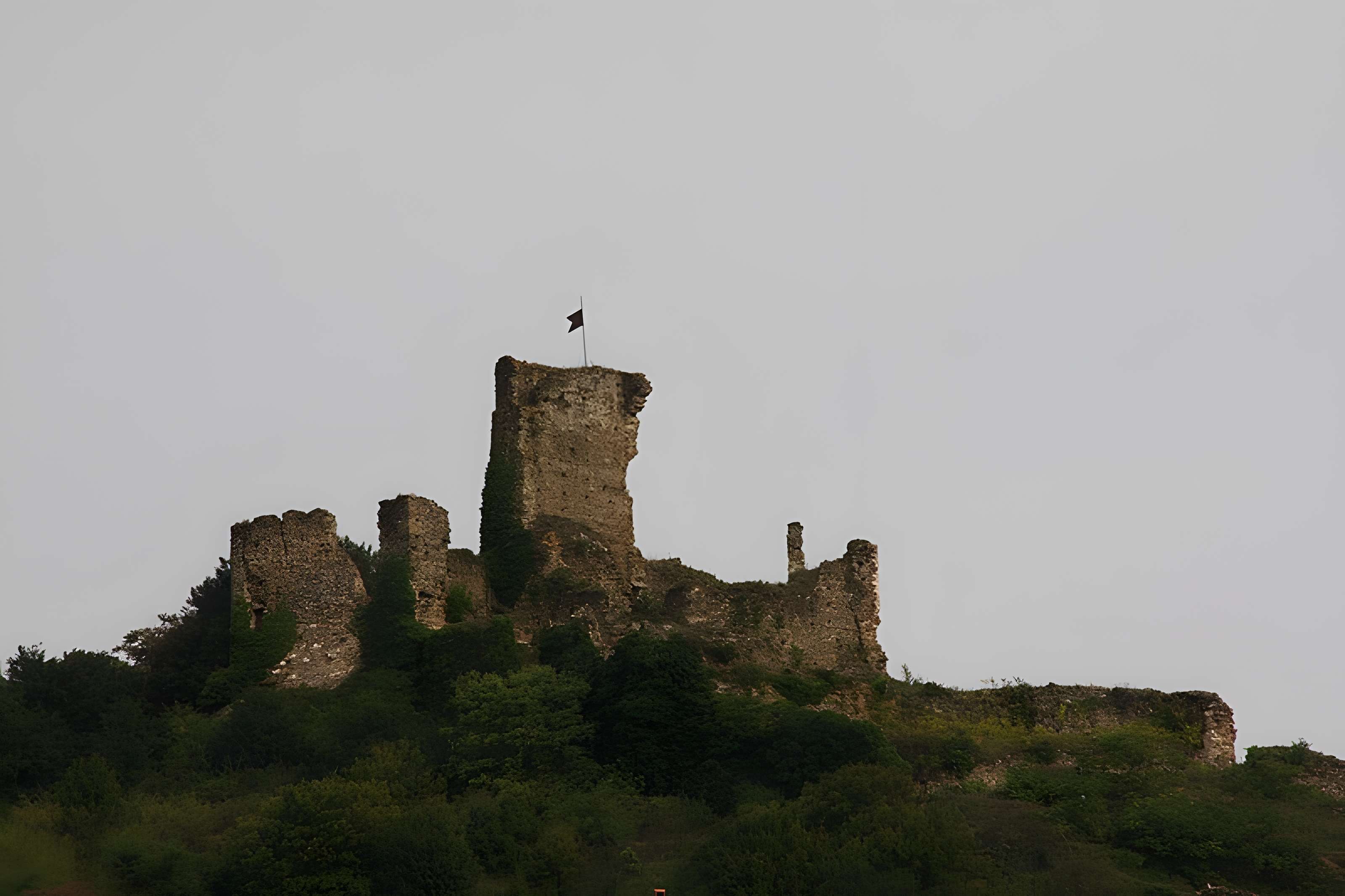 Château de la Bâtie à Vienne