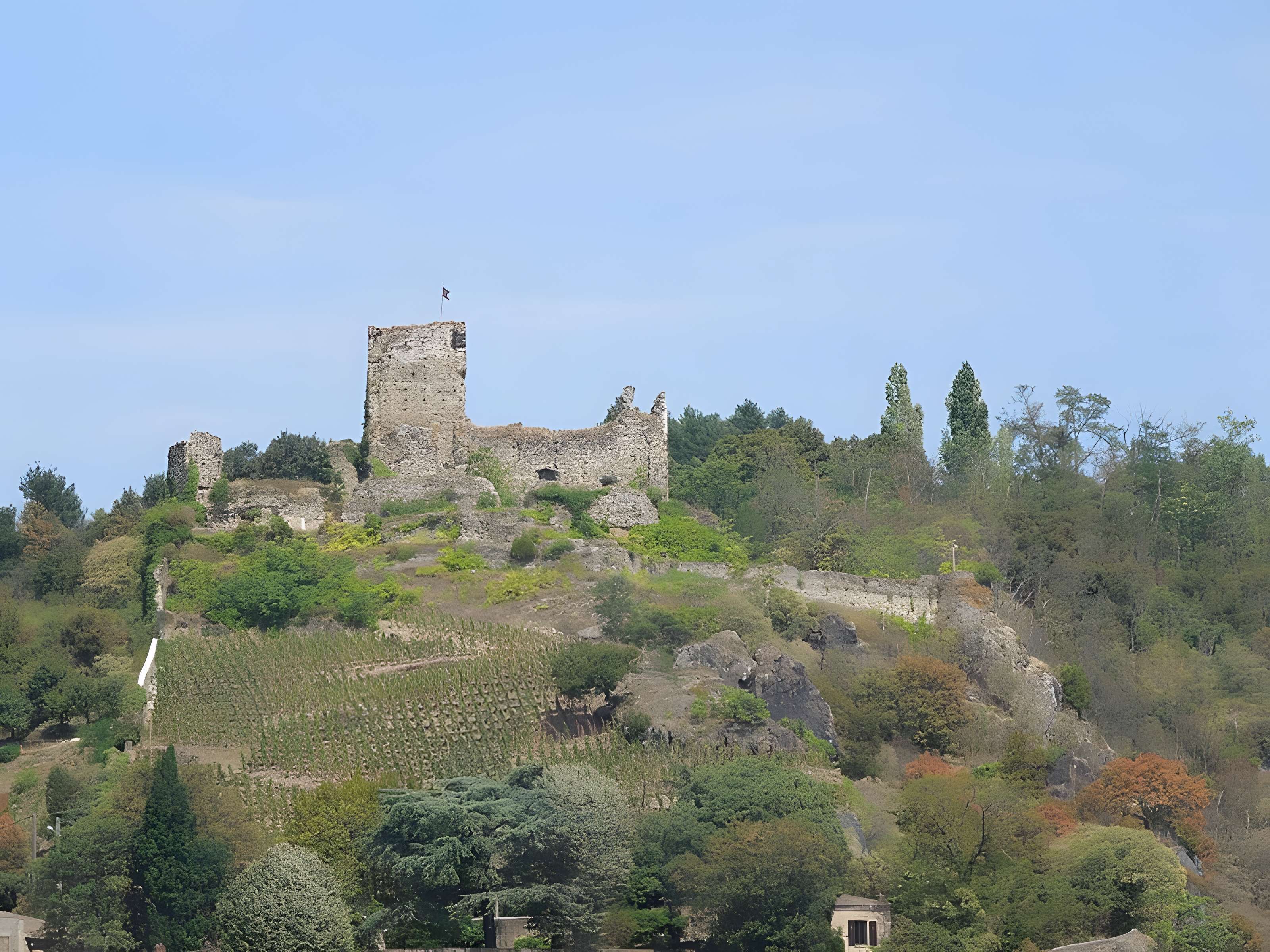 Château de la Bâtie à Vienne