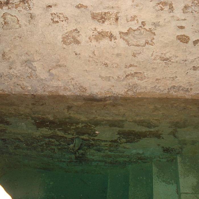 Photo de Synagogue de Montpellier