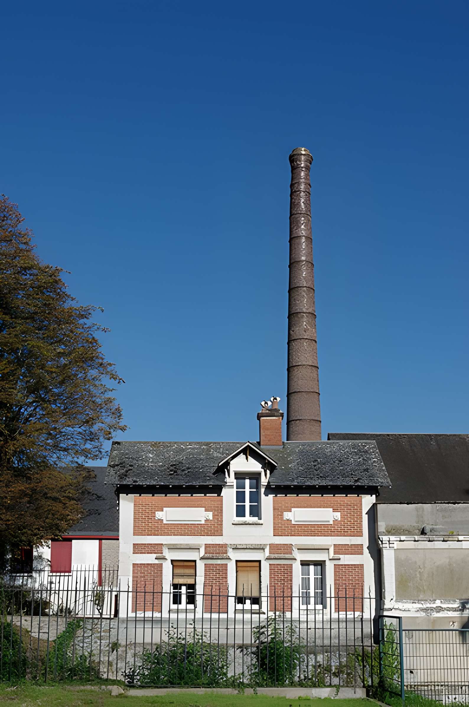 Tannerie Peltereau-Tenneson à Château-Renault