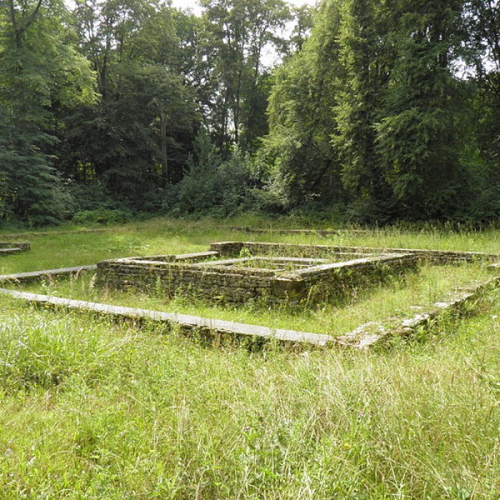Photo de Temple gallo-romain de la forêt dHalatte à Ognon