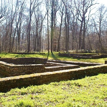 Temple gallo-romain de la forêt dHalatte à Ognon