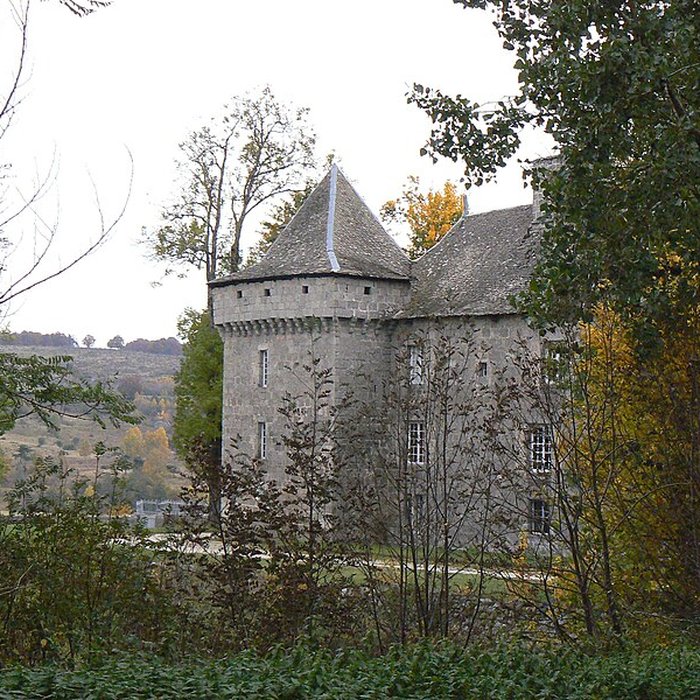 Photo de Château de la Baume à Prinsuéjols