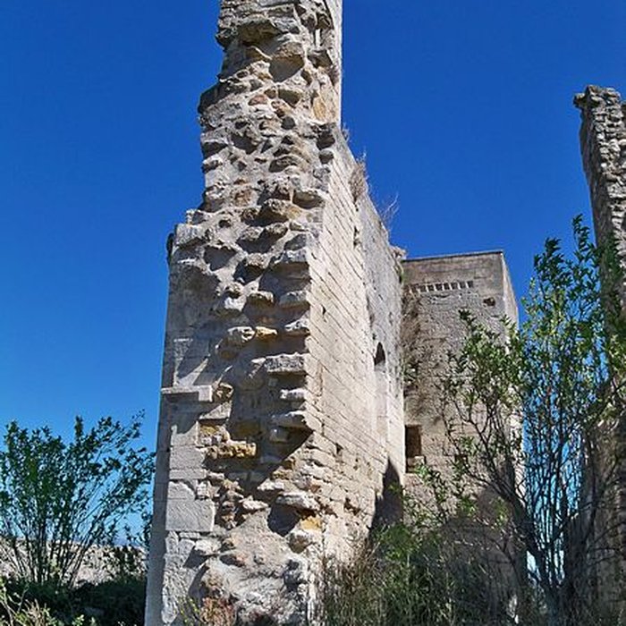 Photo de Château de La Baume-de-Transit