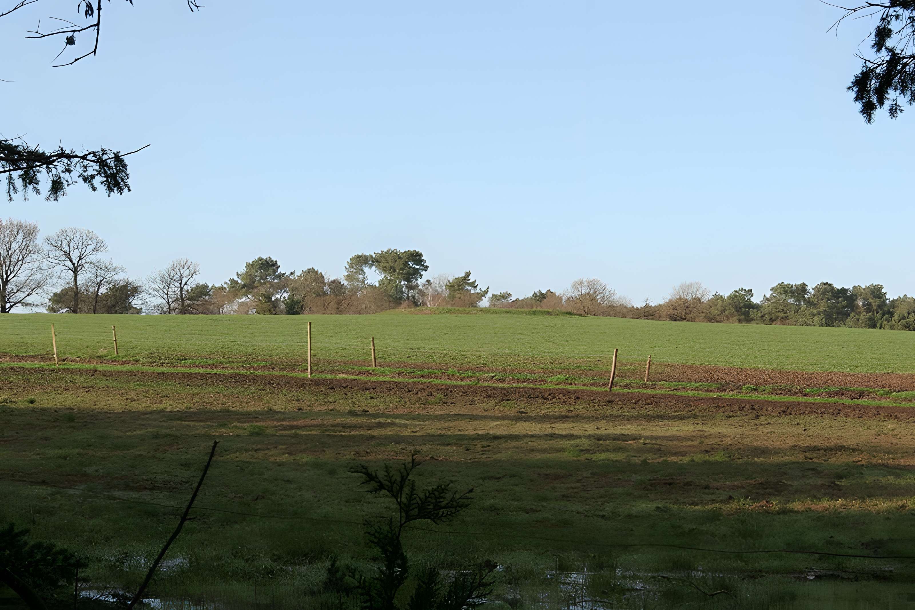 Temple romano-celtique heptagonal à Comblessac 
