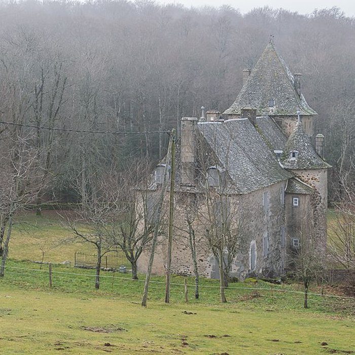Photo de Château de la Boissonnade