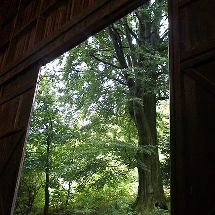 Photo de Théâtre du Peuple de Bussang