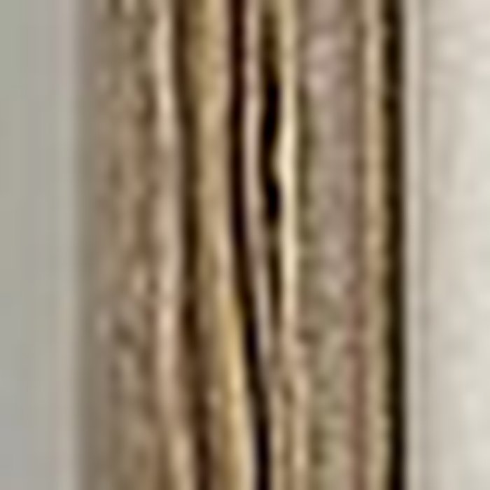 Photo de Théâtre Montansier de Versailles