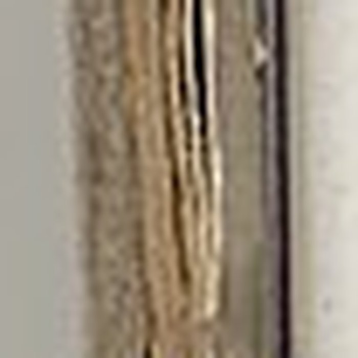 Photo de Théâtre Montansier de Versailles