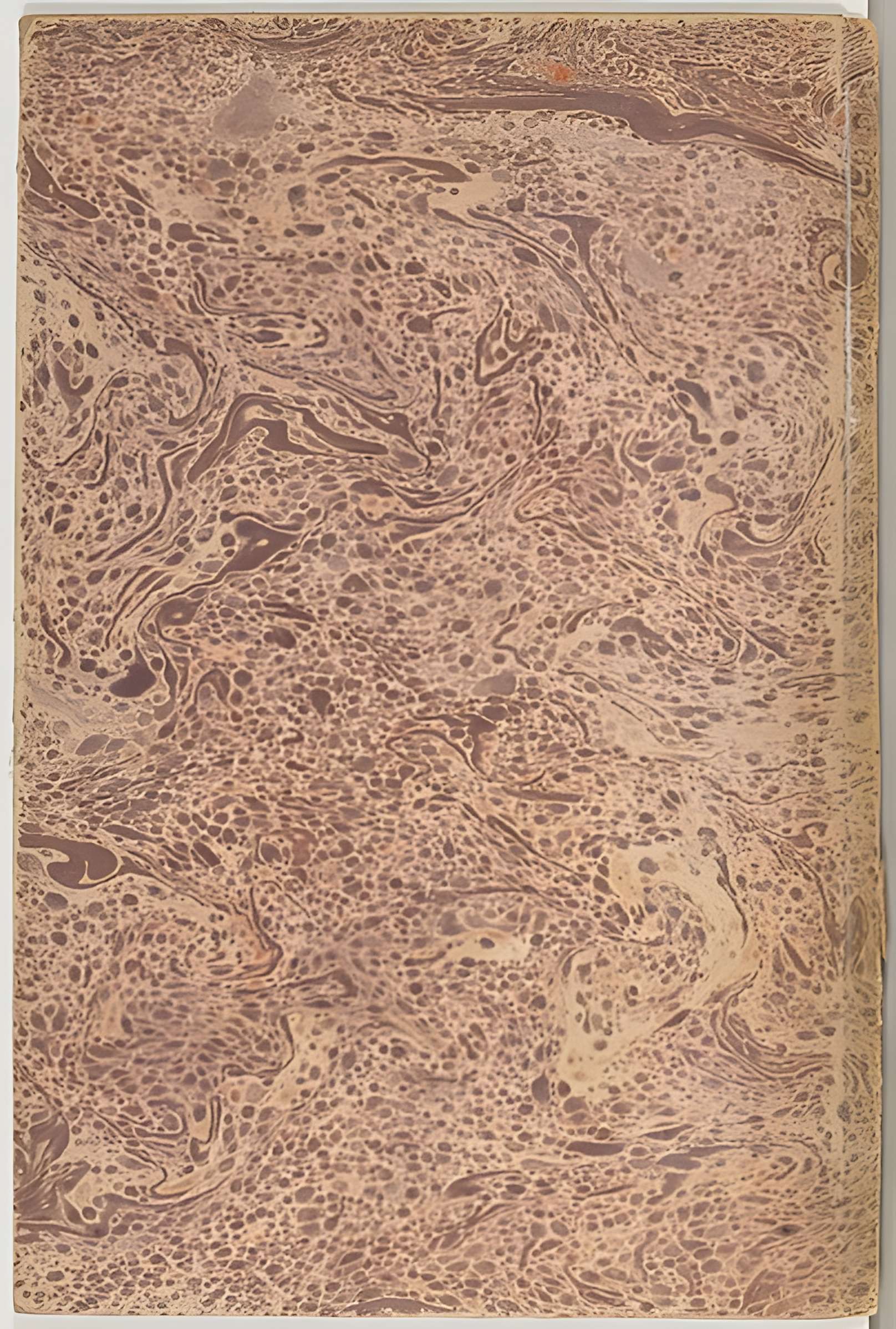 Théâtre Montansier de Versailles