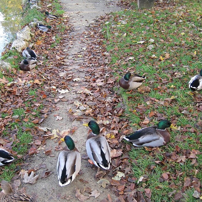 Photo de Thermes Lédonia de Lons-le-Saunier