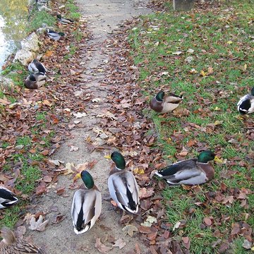 Thermes Lédonia de Lons-le-Saunier