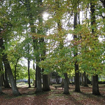 Thermes Lédonia de Lons-le-Saunier