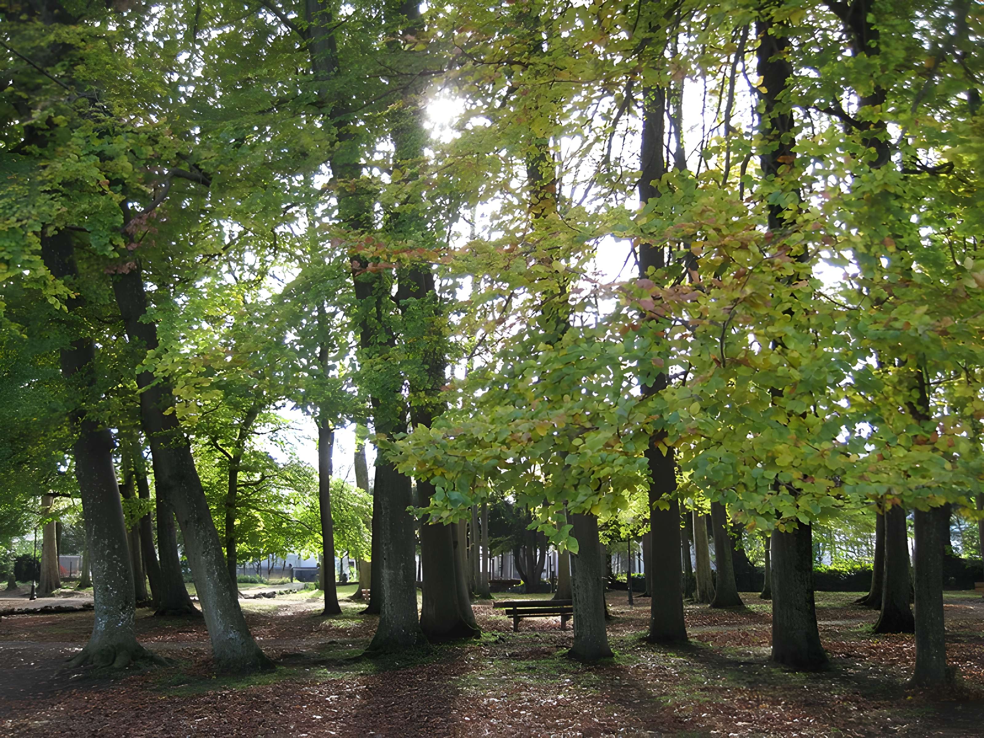Thermes Lédonia de Lons-le-Saunier