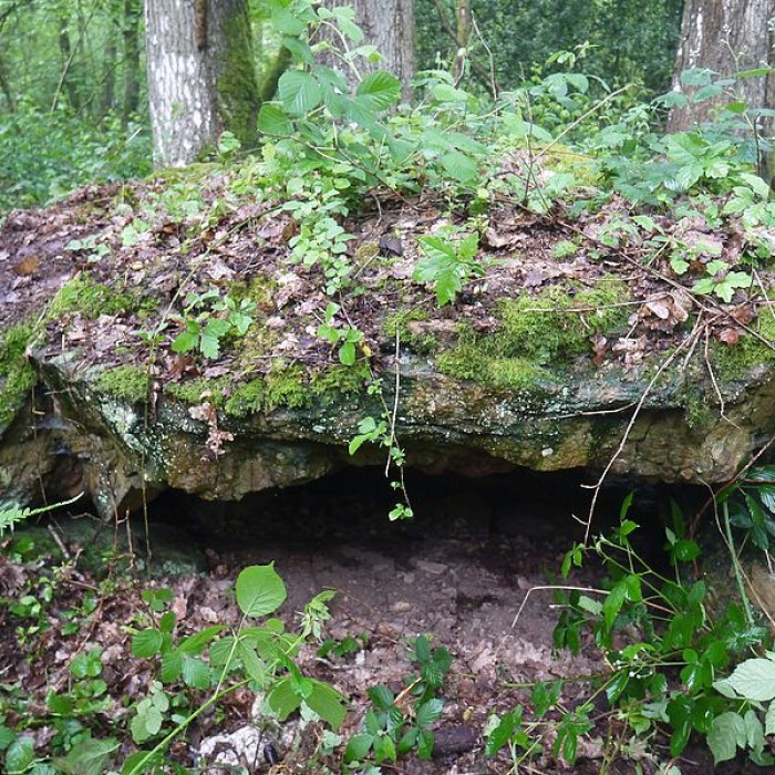 Photo de Tombe mégalithique du château de la Ferrière