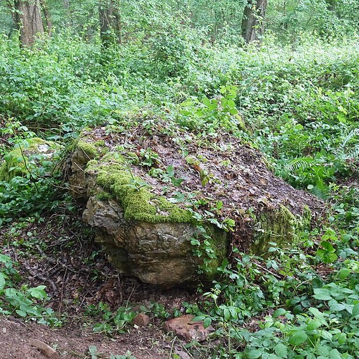 Photo de Tombe mégalithique du château de la Ferrière