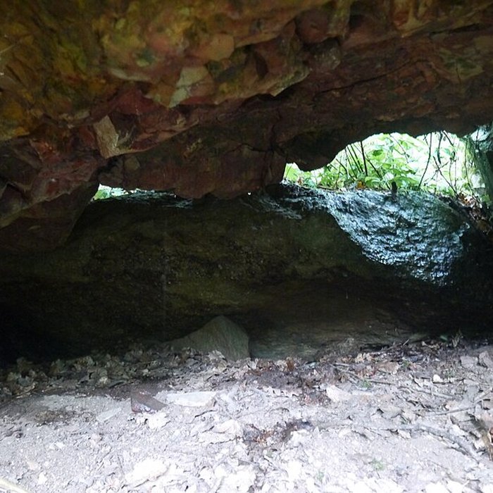 Photo de Tombe mégalithique du château de la Ferrière
