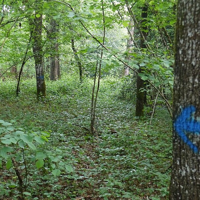 Photo de Tombe mégalithique du château de la Ferrière