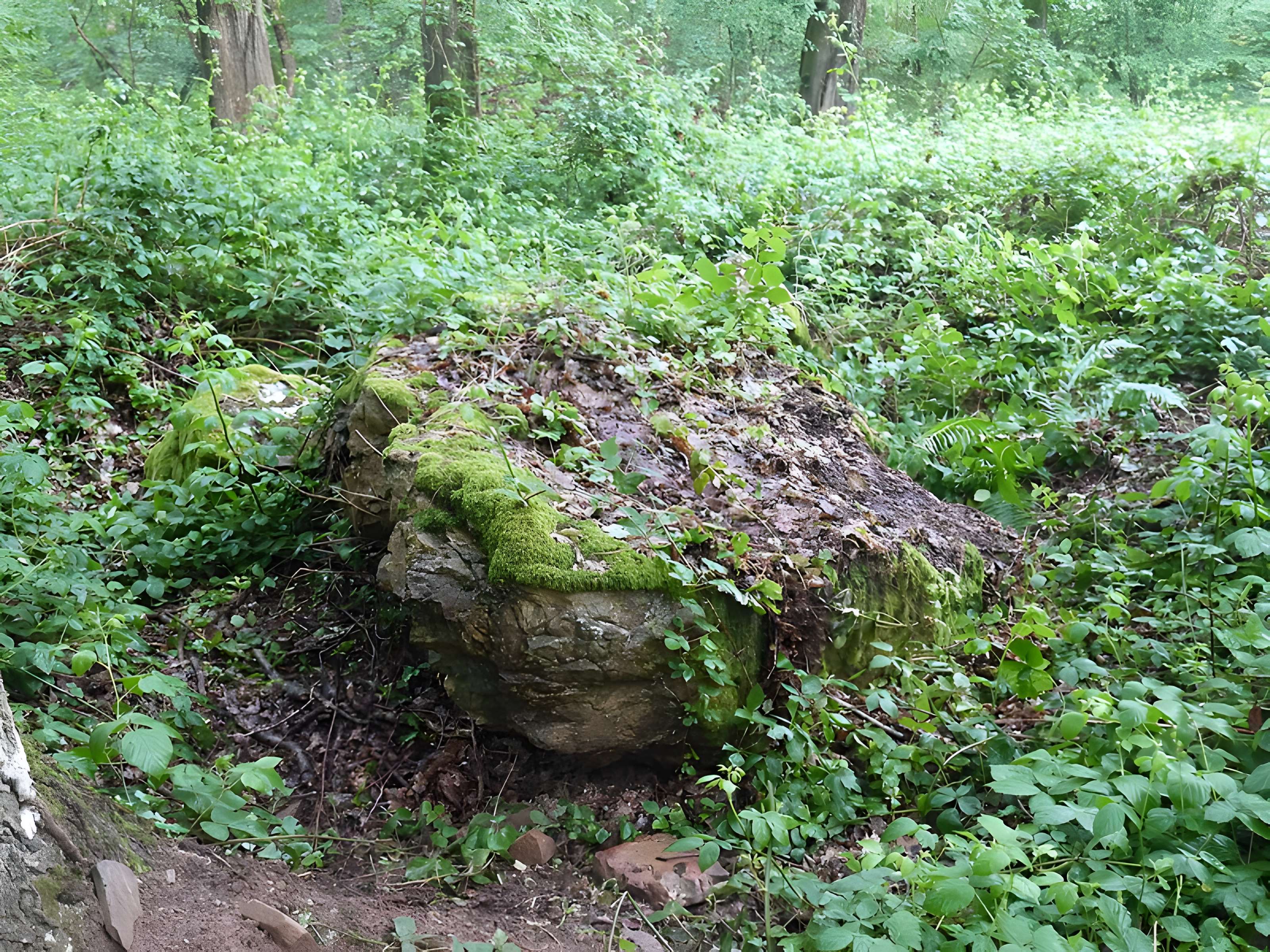 Tombe mégalithique du château de la Ferrière
