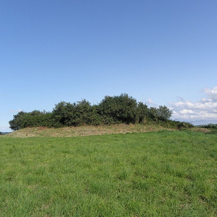 Photo de Tumulus dit Tossen-ar-Chonifled