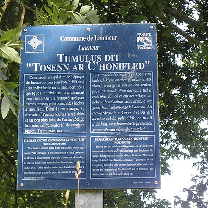 Photo de Tumulus dit Tossen-ar-Chonifled