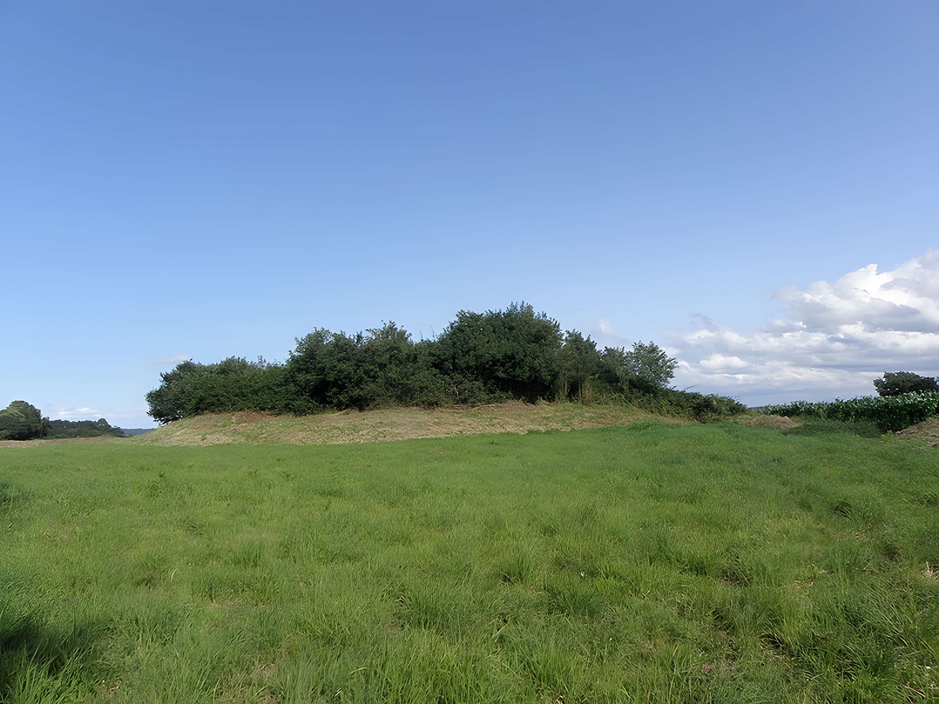 Tossen-ar-C'honifled de Lanmeur 