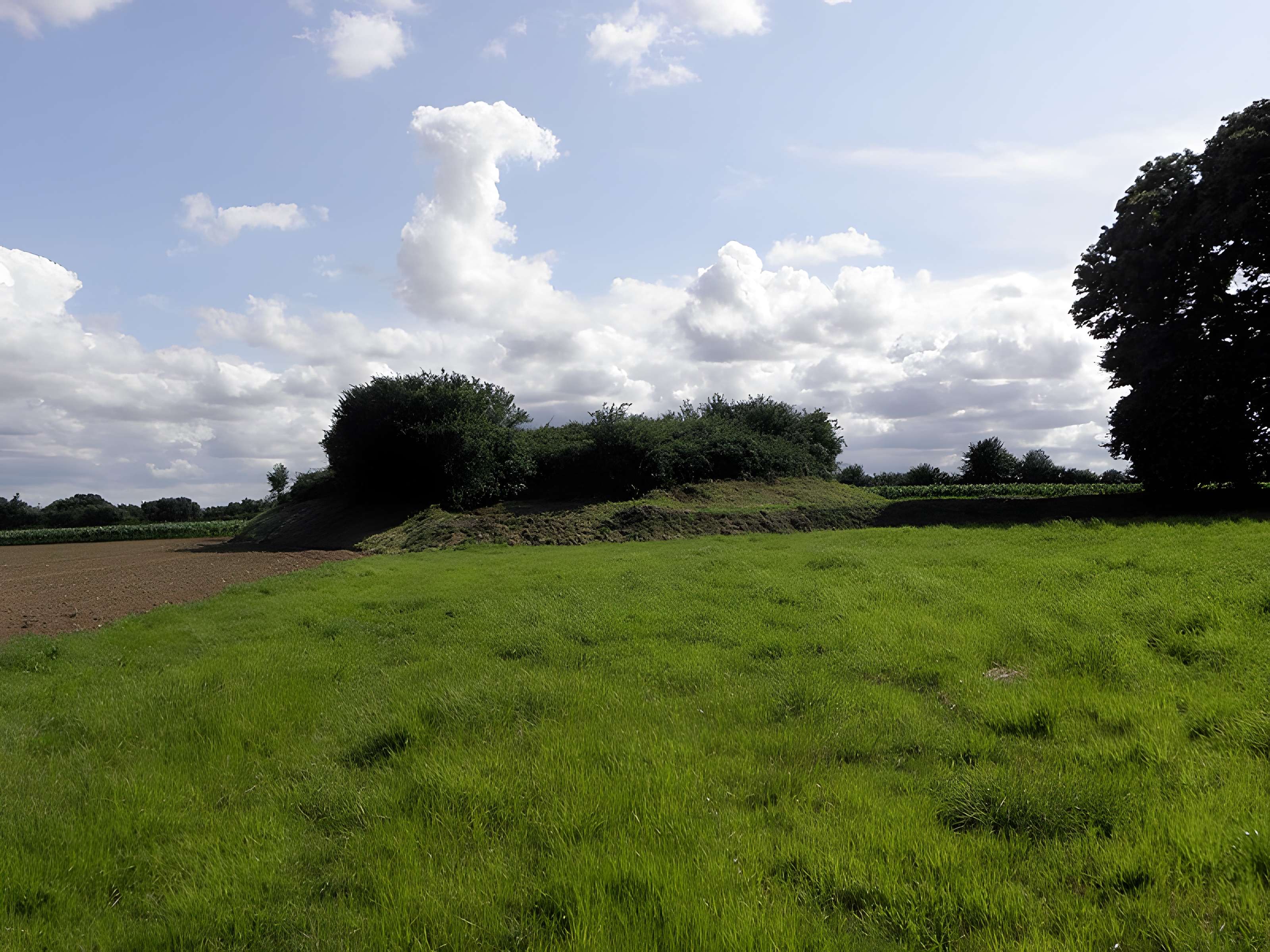 Tumulus dit Tossen-ar-C'honifled