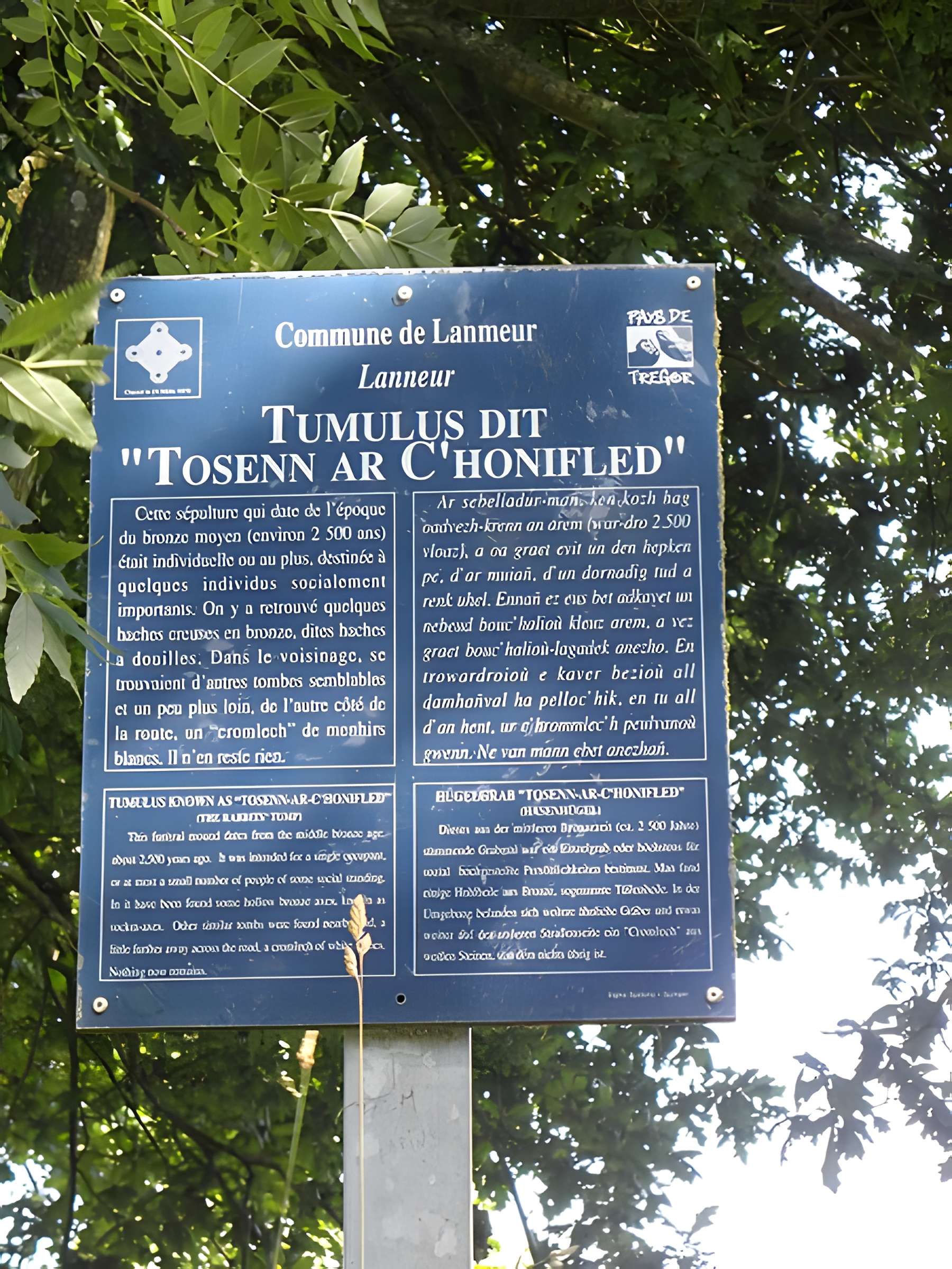 Tumulus dit Tossen-ar-C'honifled