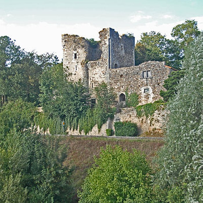 Photo de Tour aux Cognons de Civaux
