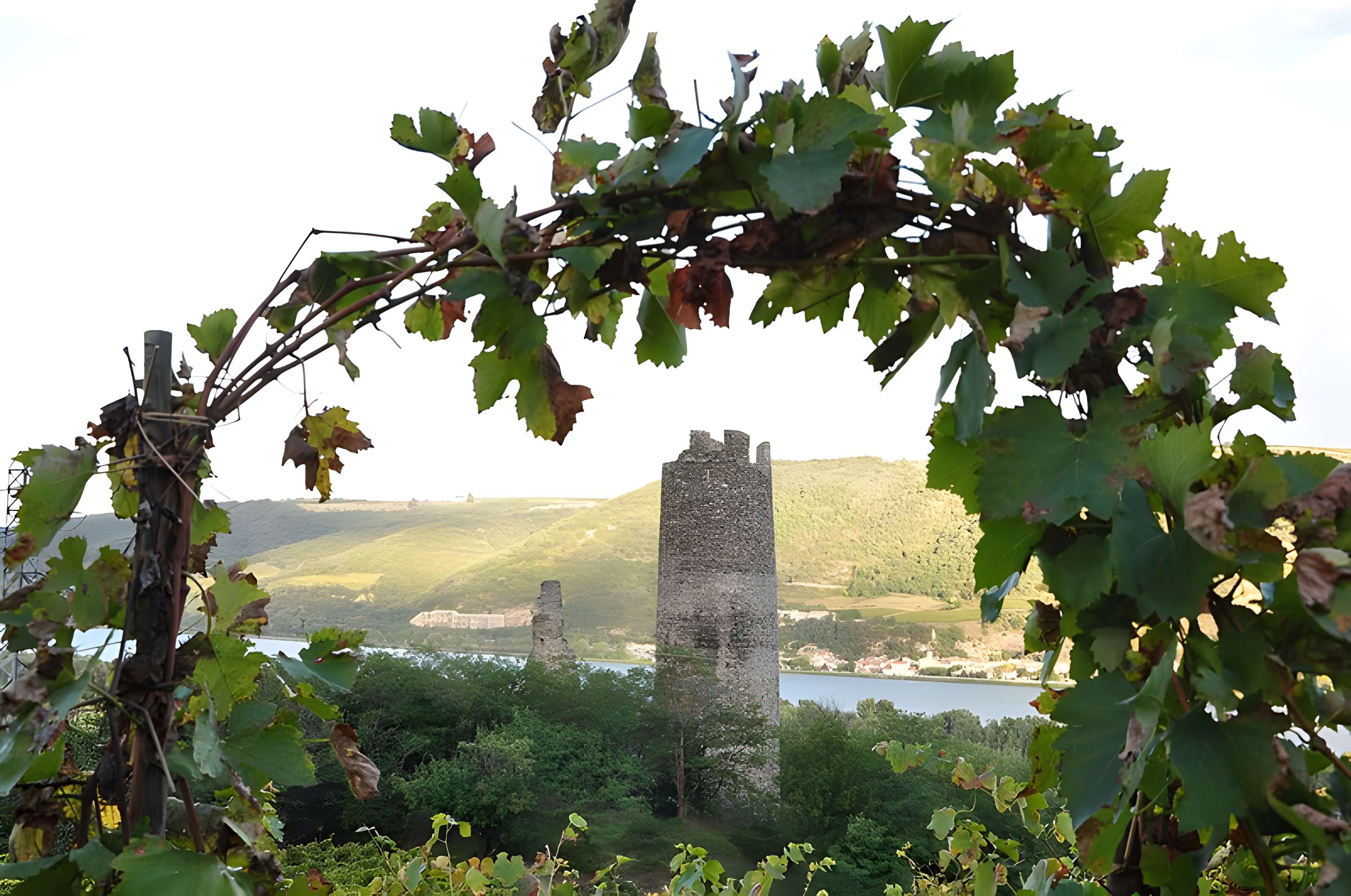 Tour blanche d'Arras-sur-Rhône