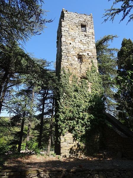 Photo de Tour Carbonac de Monze