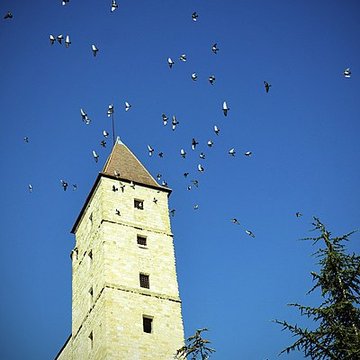 Tour du Sénéchal ou dArmagnac