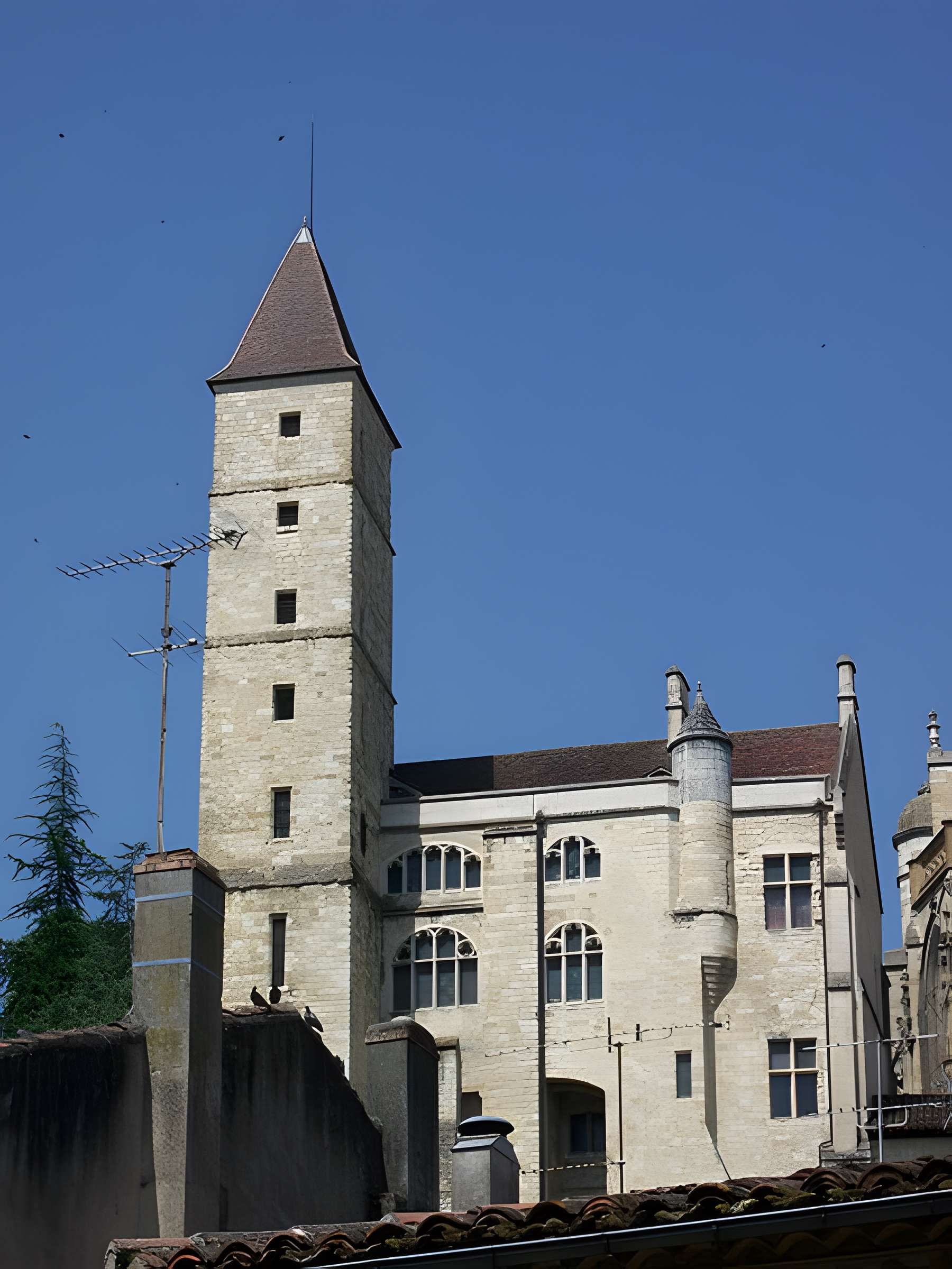 Tour du Sénéchal ou d'Armagnac
