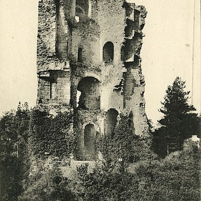 Photo de Tour de Cesson à Saint-Brieuc