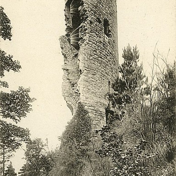 Photo de Tour de Cesson à Saint-Brieuc