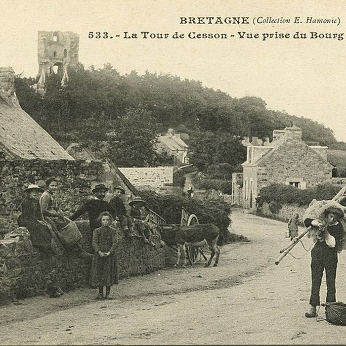 Photo de Tour de Cesson à Saint-Brieuc